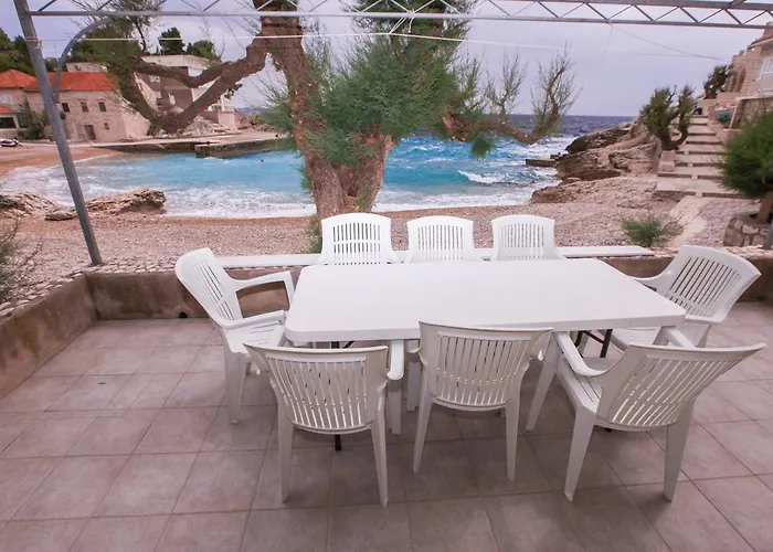 Apartament Feral *