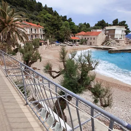 Feral * 오레비츠