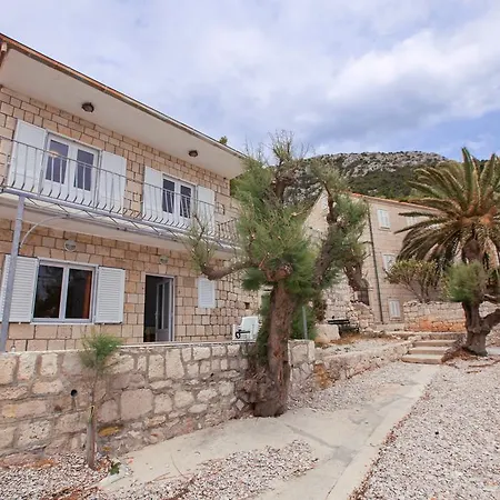 Feral * 오레비츠