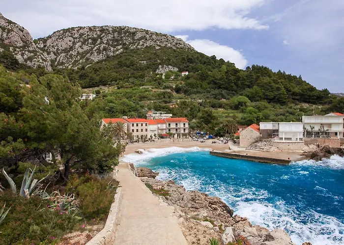 شقة Feral أوروبيتش